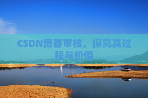 CSDN博客审核,探究其过程与价值